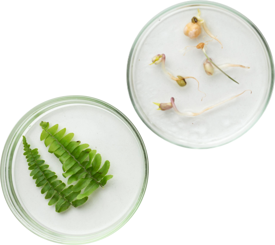 Signature Ingredients